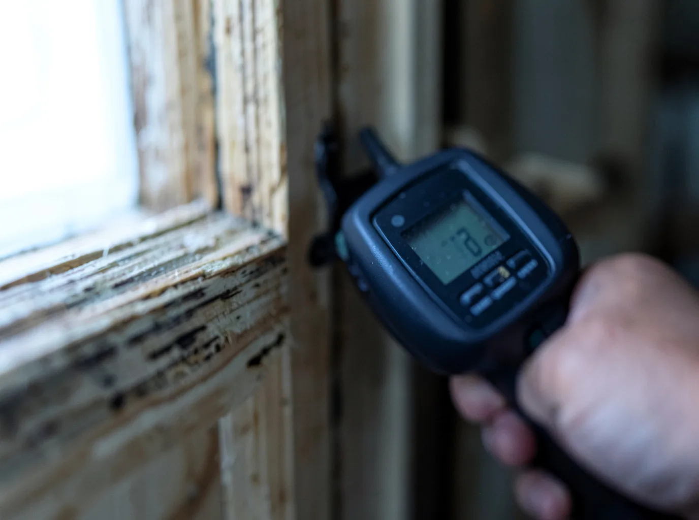 Moisture Inspection And Documentation in Green Spring, WV